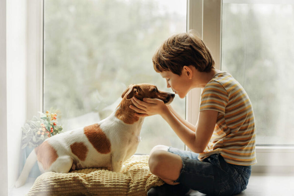 Pet products store offering pet food, toys, grooming items, and accessories for dogs and cats